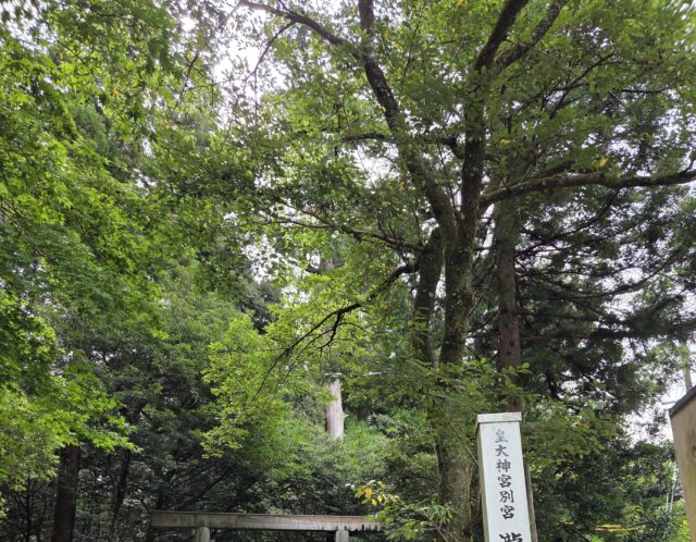 三重の旅　Part３（しつこい）