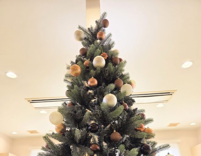 今年も出しました★