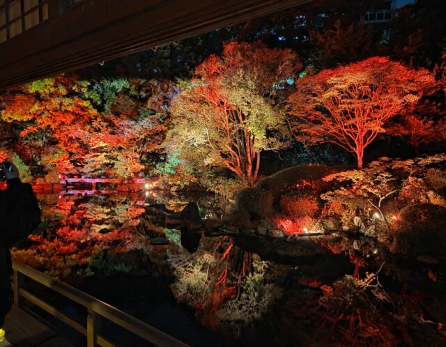 秋から冬へ・・・