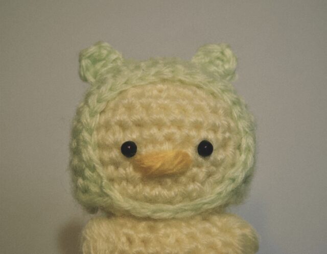 最近の趣味🐥⸒⸒