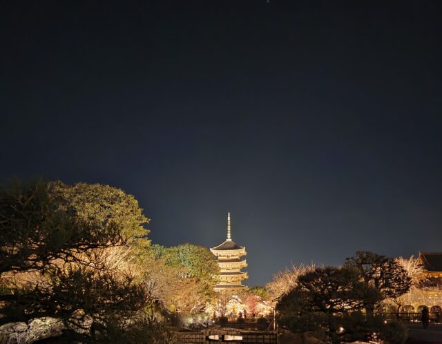 京都旅行③東寺もキレイだった