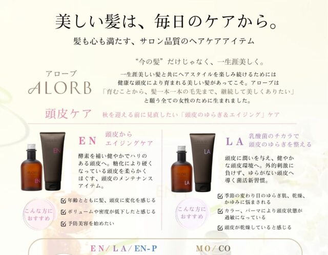 12月　頭皮と髪のケア・アローブ 20％OFF