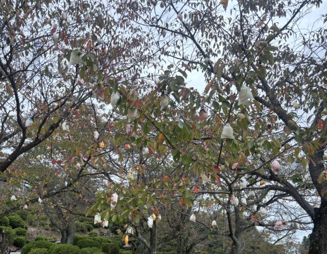 さばえ　まちなか　芸術祭2026